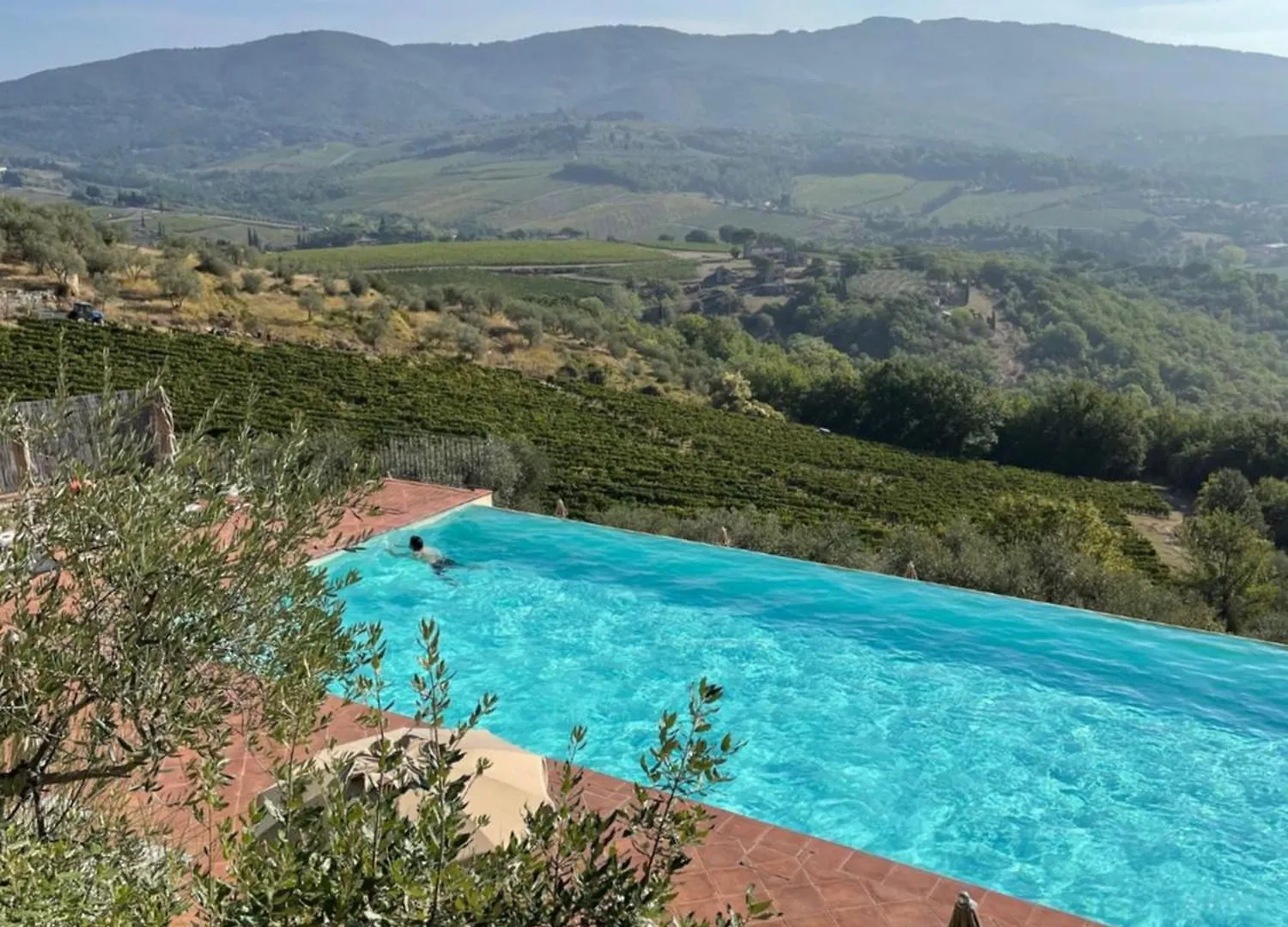 Gospodarstwo agroturystyczne Willa Castello Vicchiomaggio Greve in Chianti